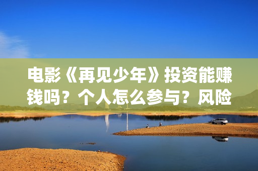 电影《再见少年》投资能赚钱吗？个人怎么参与？风险大不大？(电影《再见少年》演员表)
