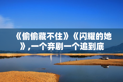 《偷偷藏不住》《闪耀的她》,一个弃剧一个追到底