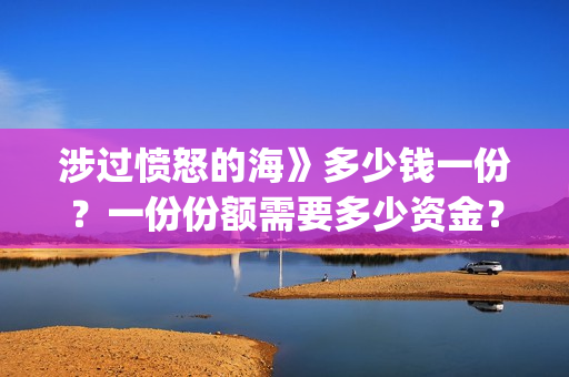 涉过愤怒的海》多少钱一份？一份份额需要多少资金？(涉过愤怒的海电影免费观看完整普通话)