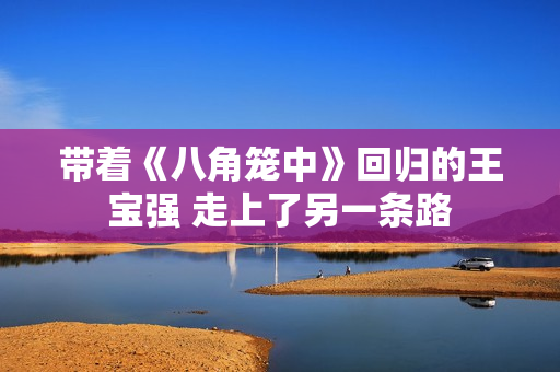 带着《八角笼中》回归的王宝强 走上了另一条路