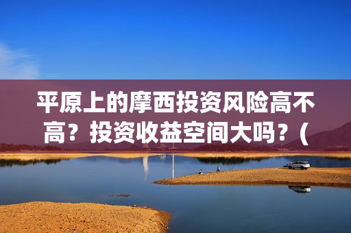 平原上的摩西投资风险高不高？投资收益空间大吗？(平原上的摩西有几个故事)