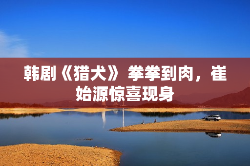 韩剧《猎犬》 拳拳到肉，崔始源惊喜现身