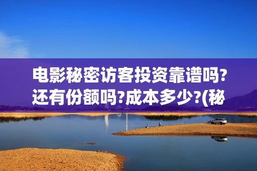 电影秘密访客投资靠谱吗?还有份额吗?成本多少?(秘密访客电影票)