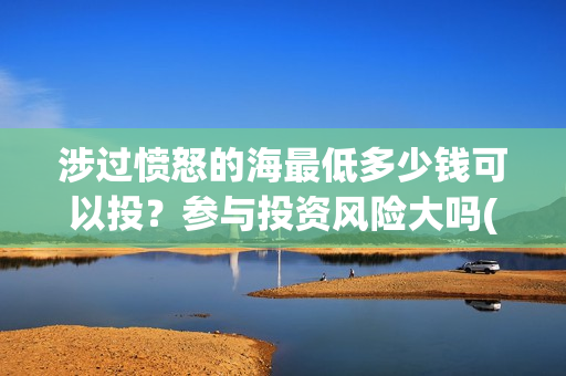 涉过愤怒的海最低多少钱可以投？参与投资风险大吗(涉过愤怒的海最终票房)