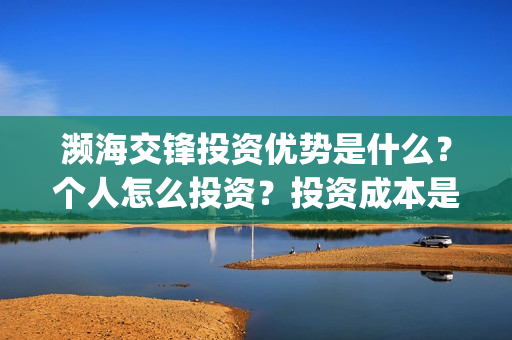 濒海交锋投资优势是什么？个人怎么投资？投资成本是多少？(濒海交锋都谁投资了)