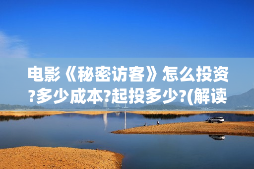 电影《秘密访客》怎么投资?多少成本?起投多少?(解读电影秘密访客)