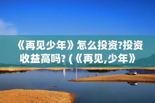 《再见少年》怎么投资?投资收益高吗? (《再见,少年》)