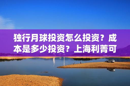 独行月球投资怎么投资？成本是多少投资？上海利菁可以投资吗？(独行月球成本)