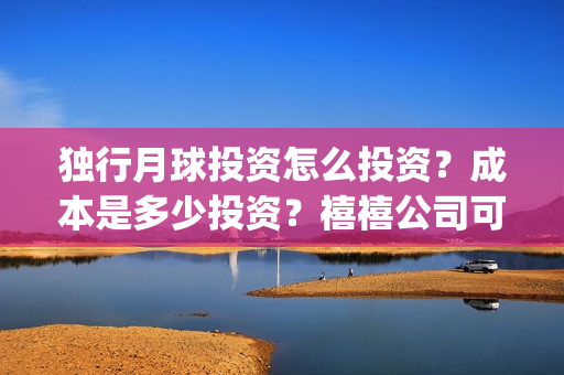 独行月球投资怎么投资？成本是多少投资？禧禧公司可以投资吗？(独行月球投资成本)