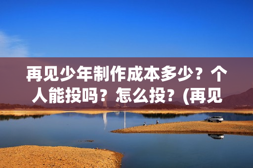 再见少年制作成本多少？个人能投吗？怎么投？(再见少年制作成本)