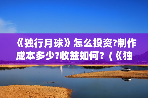 《独行月球》怎么投资?制作成本多少?收益如何？(《独行月球》怎么拍的)