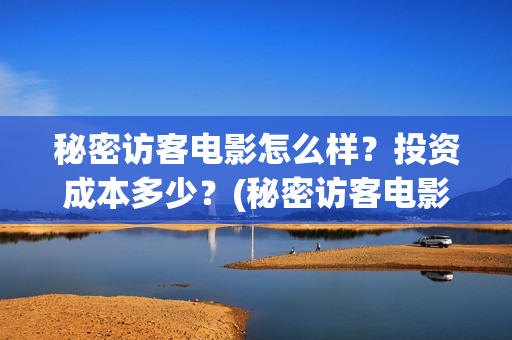 秘密访客电影怎么样？投资成本多少？(秘密访客电影怎么样好看)