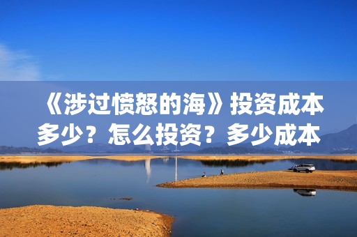 《涉过愤怒的海》投资成本多少？怎么投资？多少成本？(涉过愤怒的海周依然做出的牺牲)