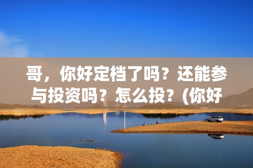 哥，你好定档了吗？还能参与投资吗？怎么投？(你好的哥)
