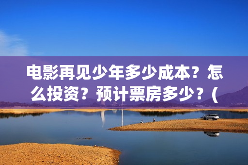 电影再见少年多少成本？怎么投资？预计票房多少？(《再见少年》)