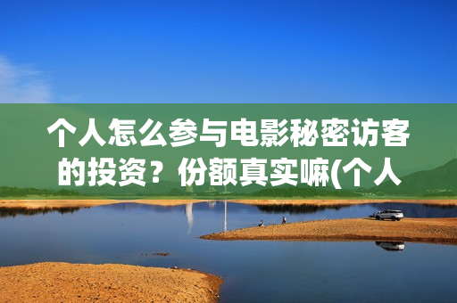 个人怎么参与电影秘密访客的投资？份额真实嘛(个人如何做电商?)