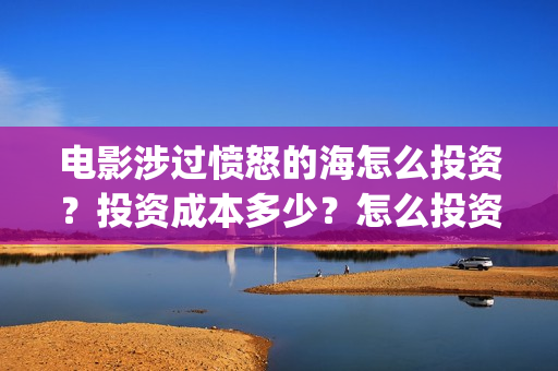 电影涉过愤怒的海怎么投资？投资成本多少？怎么投资呢？(电影涉过愤怒的海观后感)