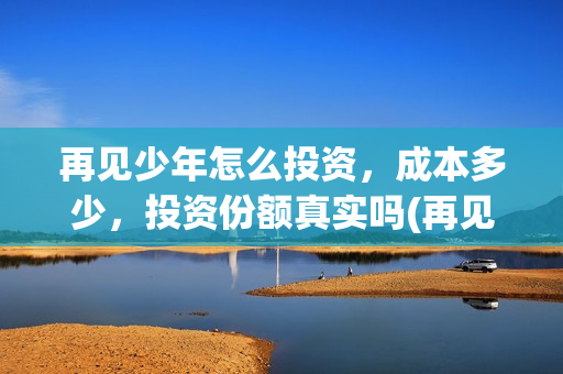再见少年怎么投资，成本多少，投资份额真实吗(再见少年总投资是多少)