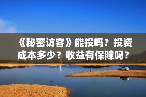 《秘密访客》能投吗?投资成本多少?收益有保障吗?(《秘密访客》看不懂) 《秘密访客》能投吗?投资成本多少?收益有保障吗?(《秘密访客》看不懂)