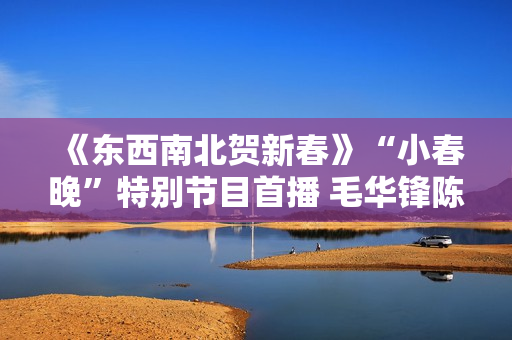 《东西南北贺新春》“小春晚”特别节目首播 毛华锋陈妍希个人表态
