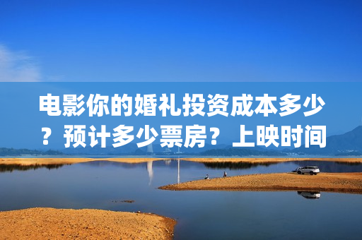 电影你的婚礼投资成本多少？预计多少票房？上映时间(电影你的婚礼购票)