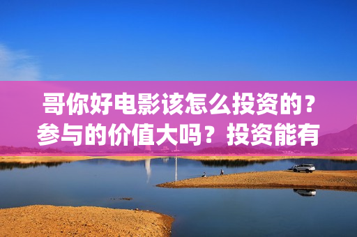 哥你好电影该怎么投资的？参与的价值大吗？投资能有几倍的收益(鹩哥你好录音教材)