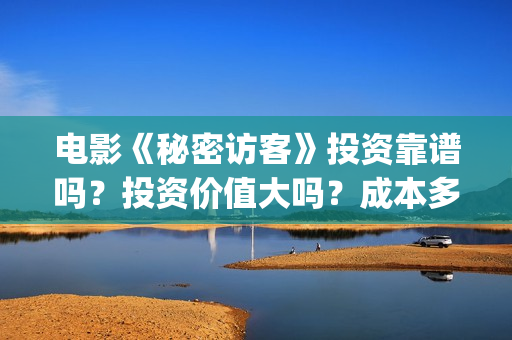 电影《秘密访客》投资靠谱吗？投资价值大吗？成本多少？(电影,秘密访客)
