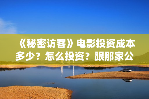 《秘密访客》电影投资成本多少？怎么投资？跟那家公司签合同？(《秘密访客》电影演员表)