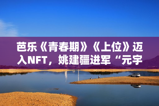 芭乐《青春期》《上位》迈入NFT，姚建疆进军“元宇宙”