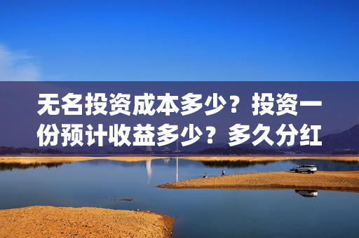 无名投资成本多少？投资一份预计收益多少？多久分红？(无名创投)