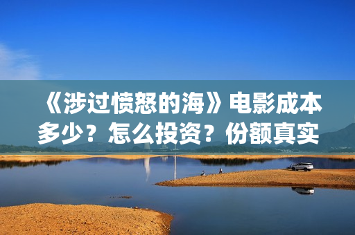 《涉过愤怒的海》电影成本多少？怎么投资？份额真实吗？(涉过愤怒的海剧情解析)