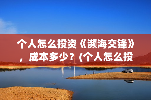 个人怎么投资《濒海交锋》，成本多少？(个人怎么投资铜)