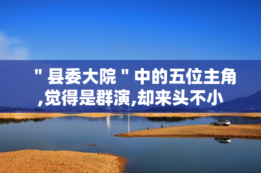 ＂县委大院＂中的五位主角,觉得是群演,却来头不小