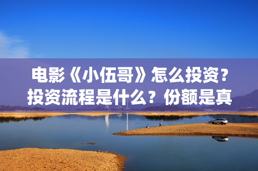电影《小伍哥》怎么投资?投资流程是什么?份额是真实的吗?(电影小伍哥上映时间) 电影《小伍哥》怎么投资?投资流程是什么?份额是真实的吗?(电影小伍哥上映时间)