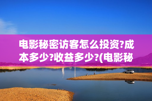 电影秘密访客怎么投资?成本多少?收益多少?(电影秘密访客有彩蛋吗)