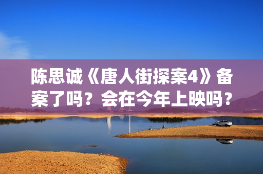 陈思诚《唐人街探案4》备案了吗？会在今年上映吗？投资可以参与吗？(唐人街导演陈思诚老婆)