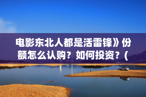 电影东北人都是活雷锋》份额怎么认购？如何投资？(《东北人》)