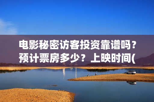 电影秘密访客投资靠谱吗？预计票房多少？上映时间(秘密访客电影啥意思)