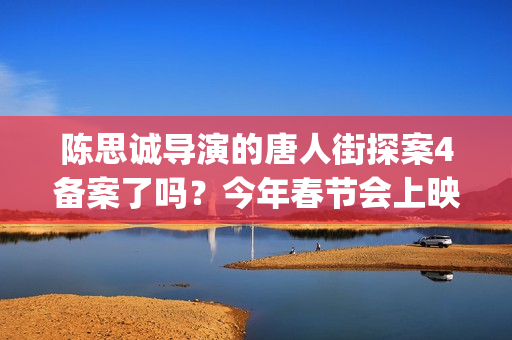 陈思诚导演的唐人街探案4备案了吗？今年春节会上映吗？可以投资吗？(陈思诚客串唐探)