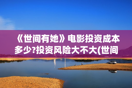 《世间有她》电影投资成本多少?投资风险大不大(世间有她上映)