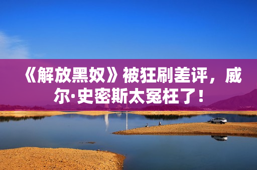 《解放黑奴》被狂刷差评，威尔·史密斯太冤枉了！