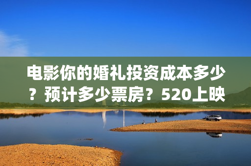 电影你的婚礼投资成本多少？预计多少票房？520上映(电影你的婚礼购票)