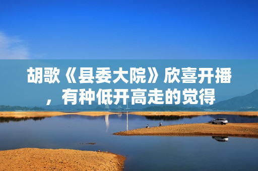 胡歌《县委大院》欣喜开播，有种低开高走的觉得