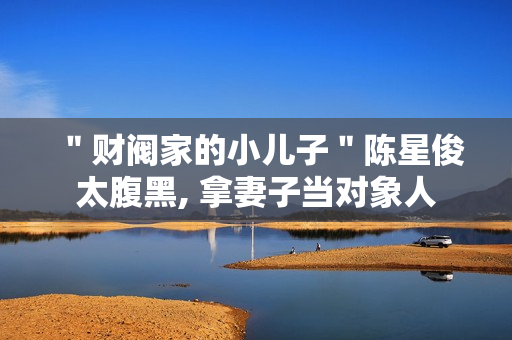 ＂财阀家的小儿子＂陈星俊太腹黑, 拿妻子当对象人