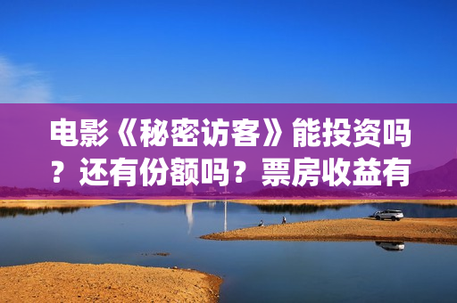电影《秘密访客》能投资吗？还有份额吗？票房收益有保障吗？(电影秘密访客故事讲的是什么)