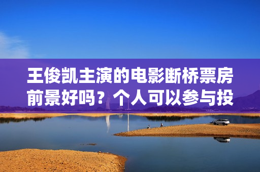 王俊凯主演的电影断桥票房前景好吗？个人可以参与投资认购吗？(王俊凯主演电影累计票房破20亿)
