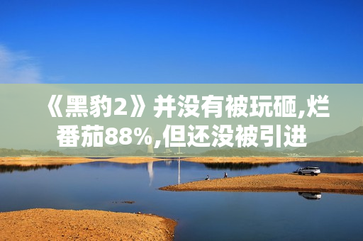 《黑豹2》并没有被玩砸,烂番茄88%,但还没被引进