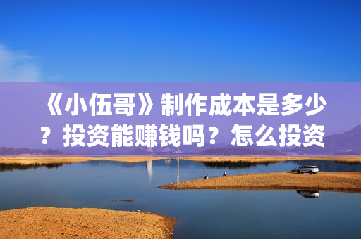《小伍哥》制作成本是多少？投资能赚钱吗？怎么投资(电影小伍哥是哪家公司制片的)