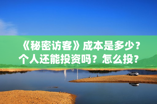 《秘密访客》成本是多少？个人还能投资吗？怎么投？(秘密访客到底演了什么)