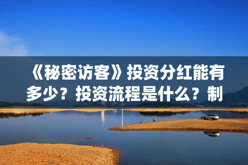 《秘密访客》投资分红能有多少？投资流程是什么？制作成本是多少？(《秘密访客》投资多少钱)